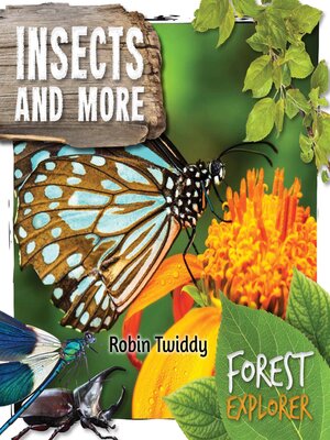 cover image of Insects and More